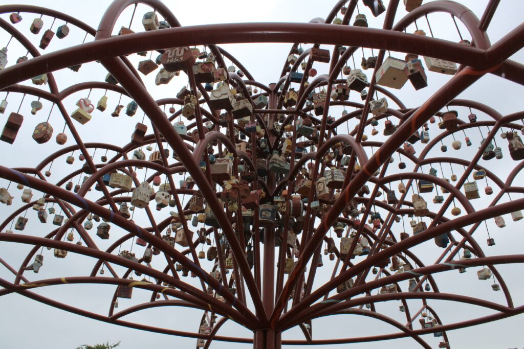 Arbol de la Vida: Memorias Y Voces de la Tierra