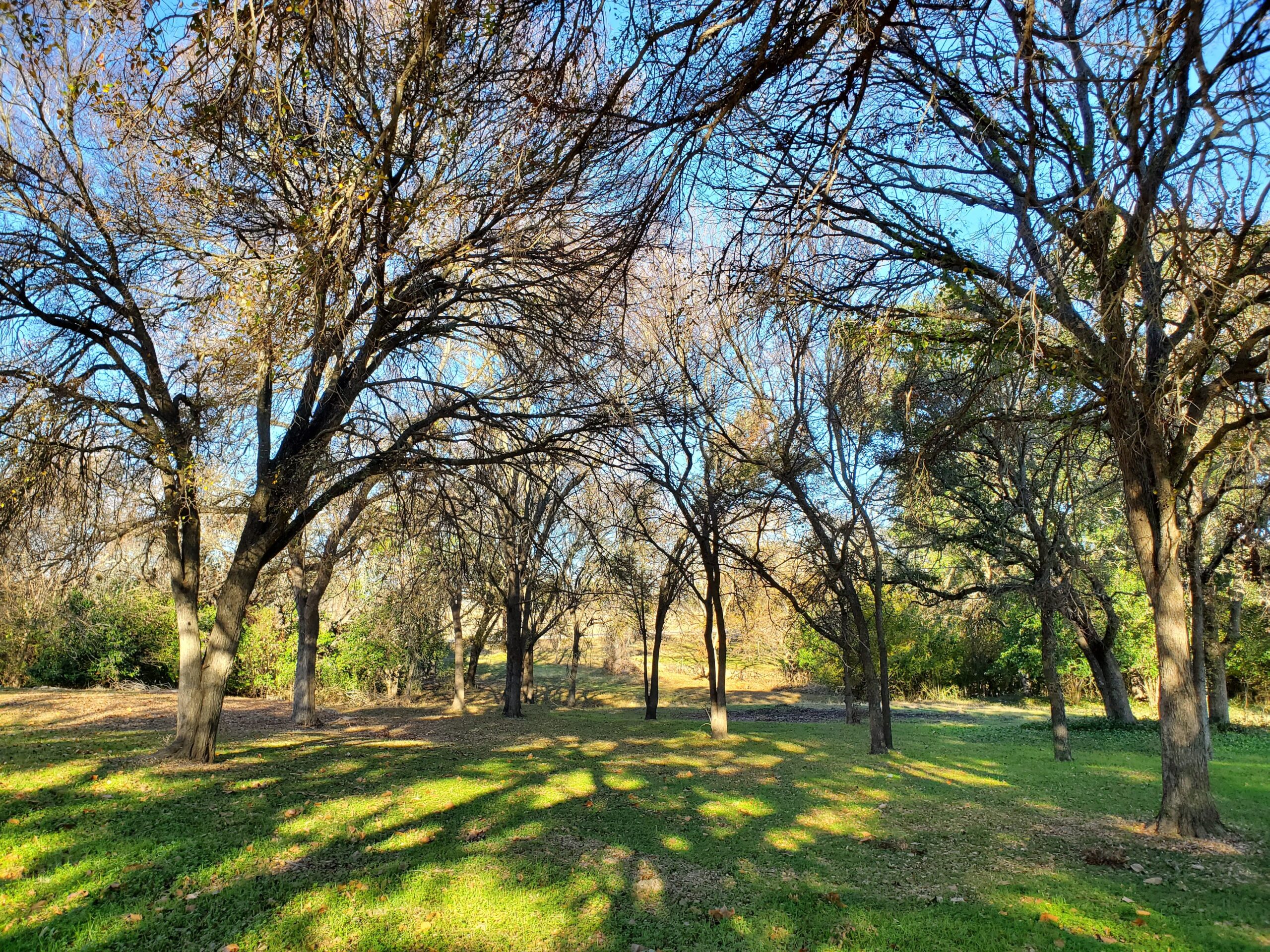 Stonewall Motor Lodge - Live From The Southside