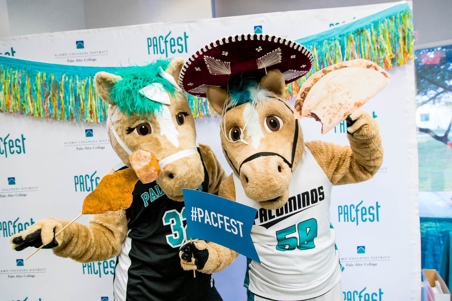 PACfest 2020 (Press Release)