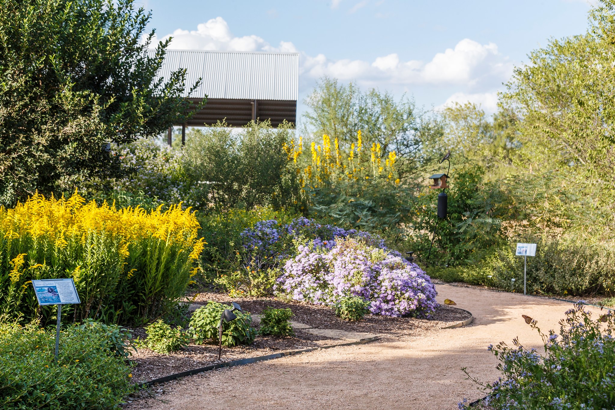 Meet Mitchell Lake Meetup Encourages Photographers, Nature-Lovers, & Southside Community to Attend