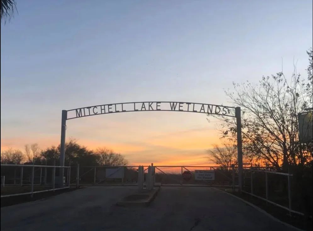 Mitchell Lake Audubon Center April 2022 Programs