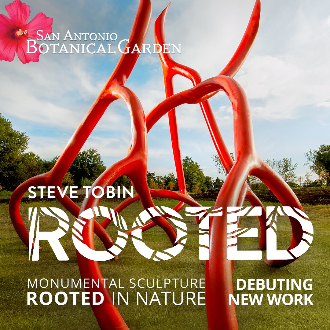 Steve Tobin “Rooted” Takes Hold at the San Antonio Botanical Garden