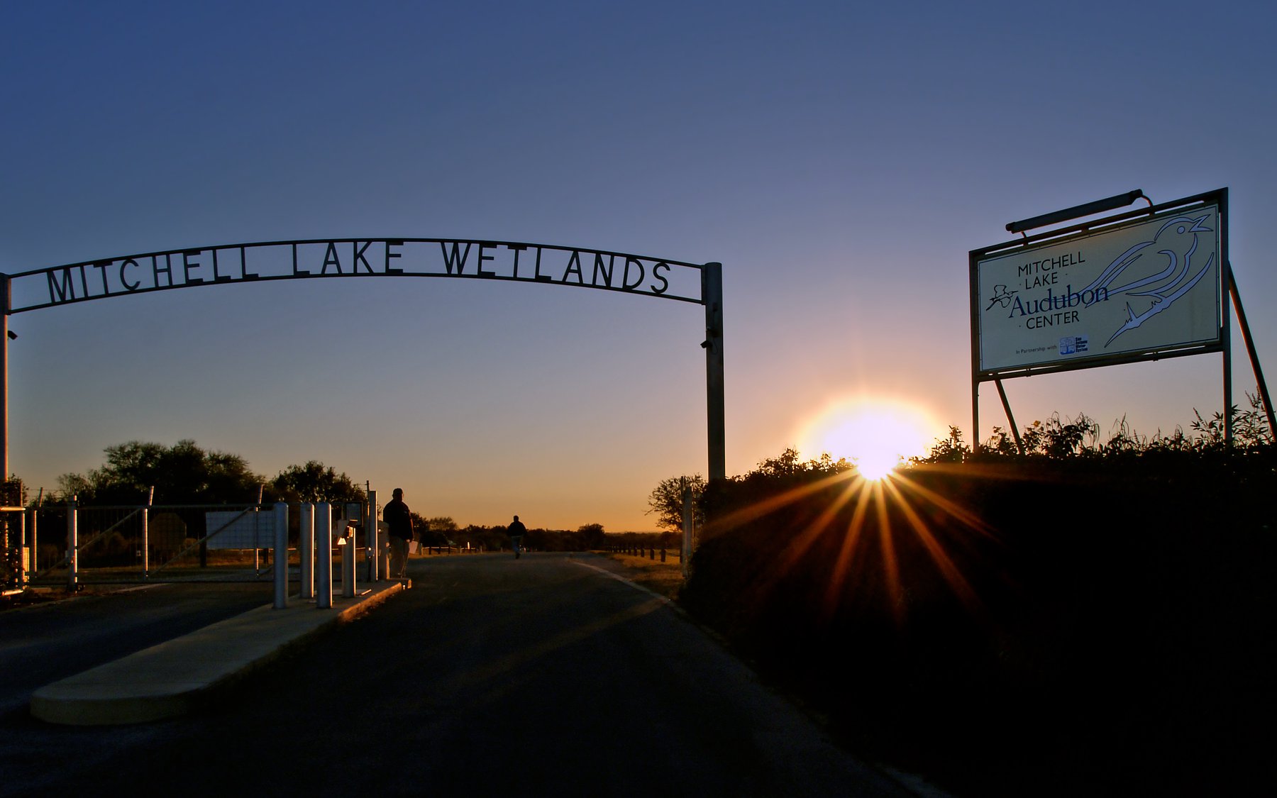 Vinos & Tacos Festival at Mitchell Lake Audubon Center