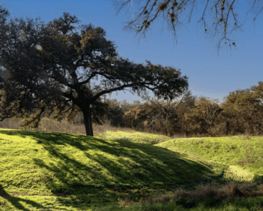 Planning is Underway for Southeast San Antonio’s First Arboretum on 188-acres