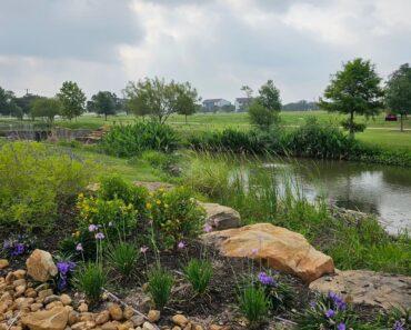 Fun Date Ideas in South San Antonio