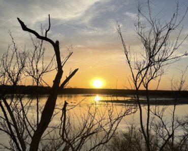 Mitchell Lake Audubon Center – May 2025 Programs