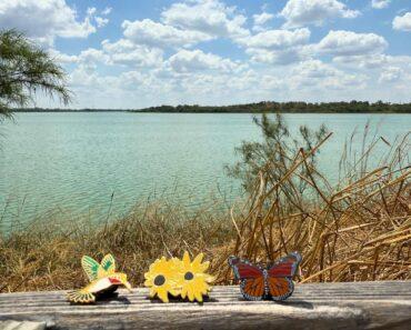 Mitchell Lake Audubon Center: October 2025 Programs