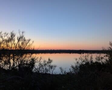 Mitchell Lake Audubon Center November 2025 Programs