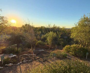 Mitchell Lake Audubon Center Announces December 2025 Programs