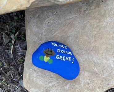 VIDA San Antonio Celebrates Madla Greenway Trail Anniversary with “Rock the Madla”