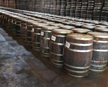 Visit the TABASCO® Factory on Avery Island, Louisiana