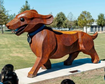 Texas’ Largest Wiener Dog Sculpture Makes Its Debut in Buda Texas’ Largest Wiener Dog Sculpture Makes Its Debut in Buda