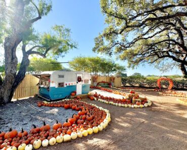 Pumpkin Patches in San Antonio and Surrounding Areas: 2026 Guide