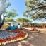 Pumpkin Patches in San Antonio and Surrounding Areas: 2026 Guide