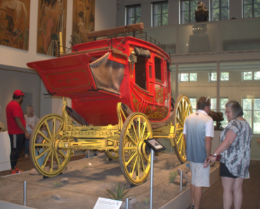 Locals Day| FREE Admission for Bexar County Residents