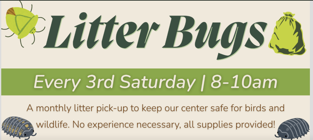 3rd Saturday Litter Bug Clean-Up